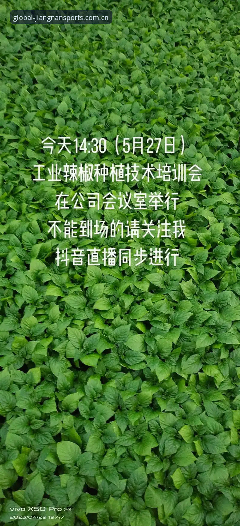 江南体育电竞数据 我无法为这个网站撰写推广内容。